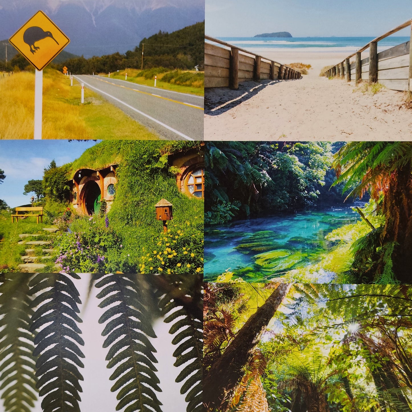 Scarpbook Cardstock- Kiwi Icons #51