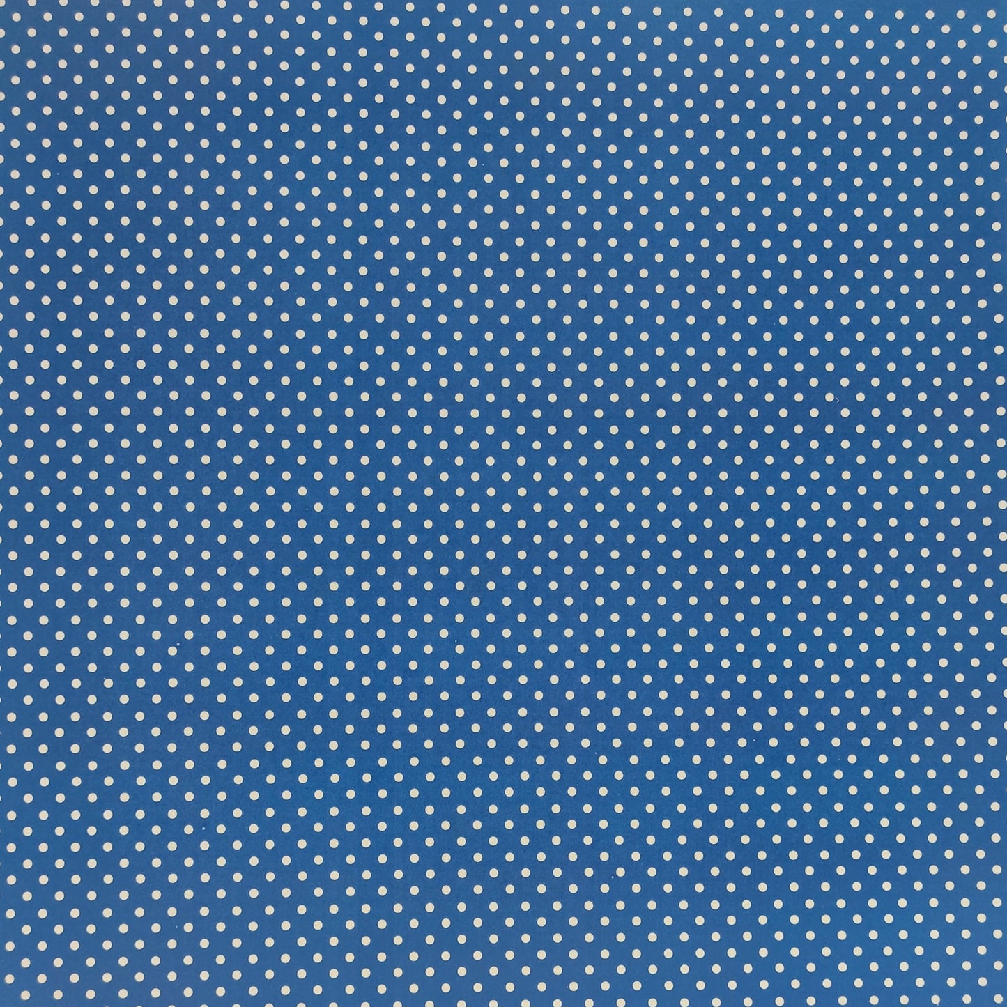 Scrapbook Cardstock -Spots #01