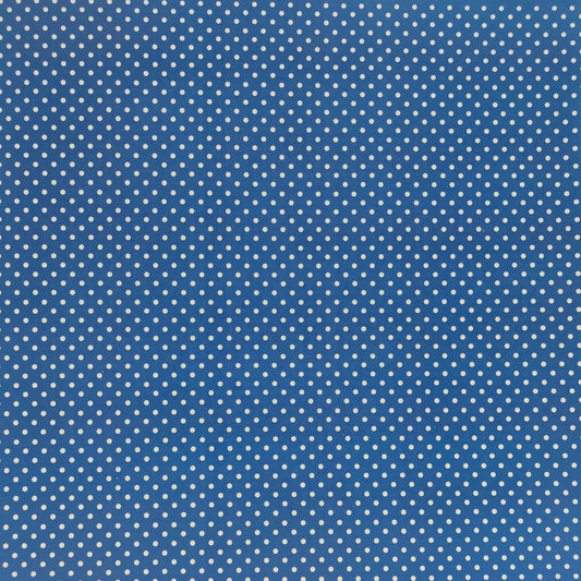 Scrapbook Cardstock -Spots #01