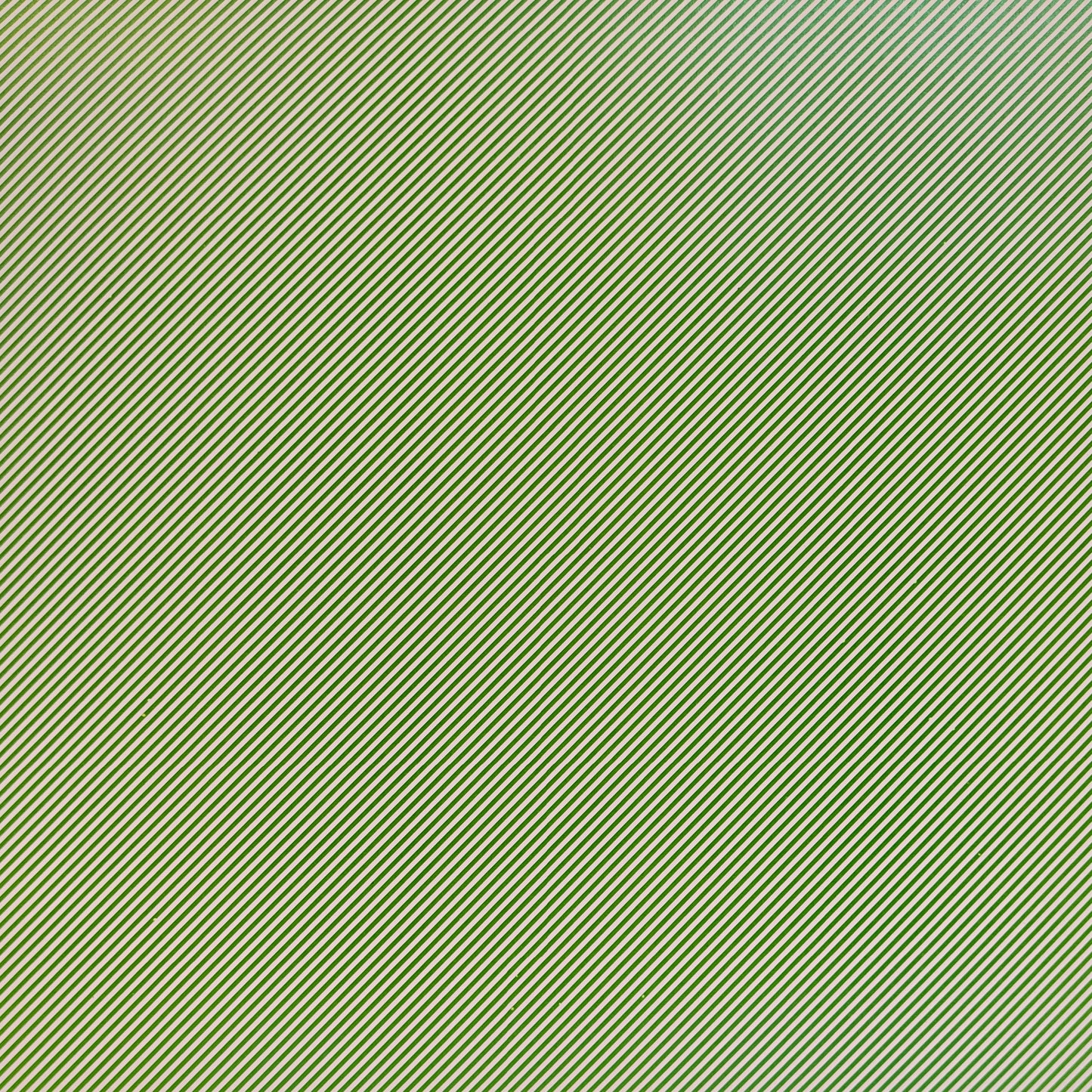 Scrapbook Cardstock -Homespun #03