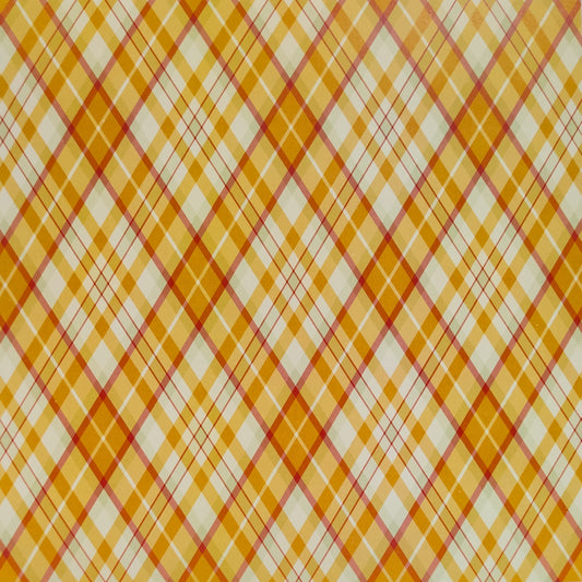 Scrapbook Cardstock -Patterns #17