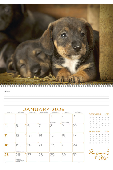 Pampurred Pets Booklet Calendar 2026