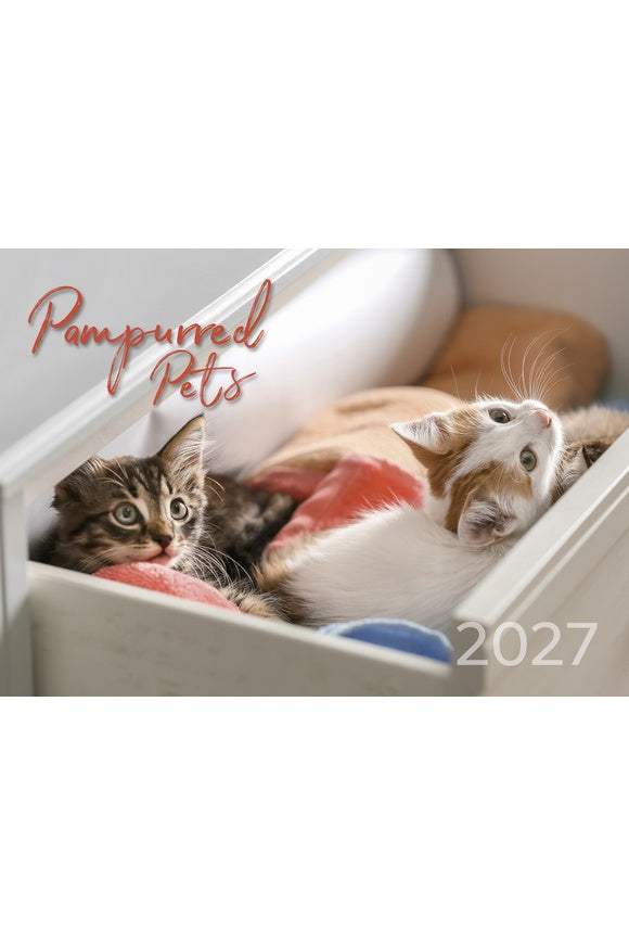 2027 Pampurred Pets Wall Calendar