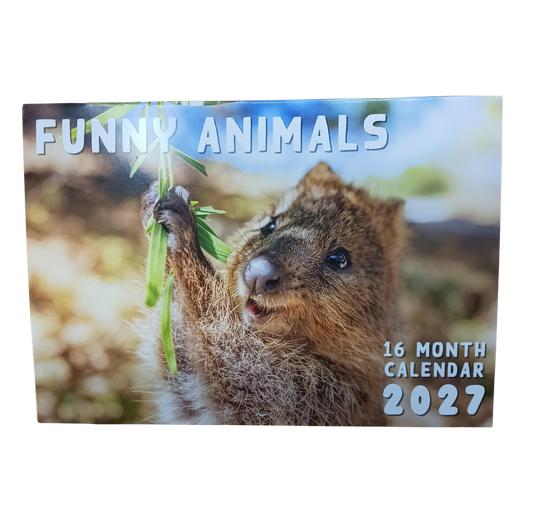 Calendar Rectangle Funny Animals 2027