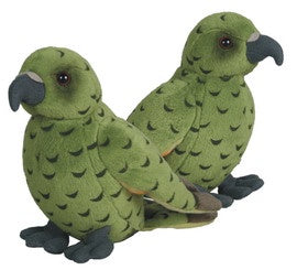Antics Kea With Sound