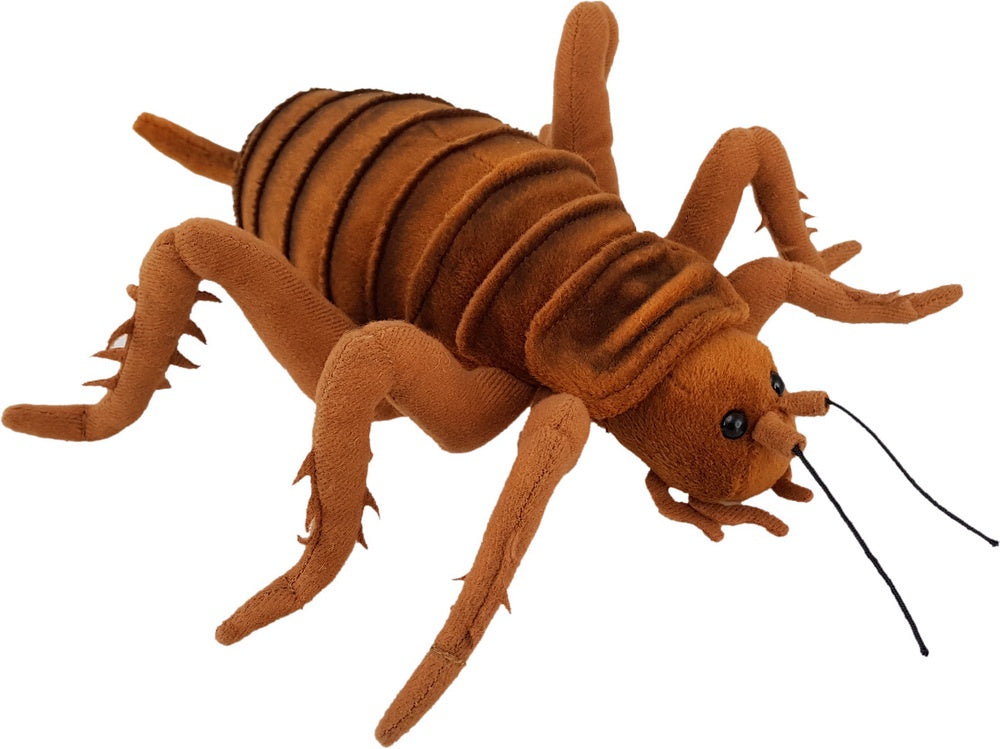 Antics Giant Weta Soft Toy 23cm