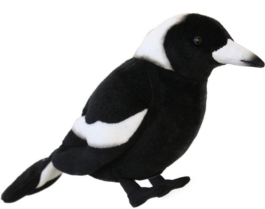 Antics Magpie With Sound