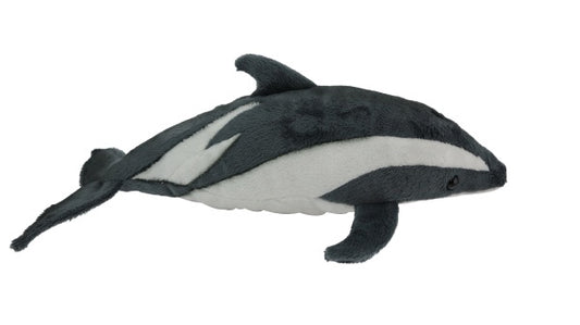 Antics Dusky Dolphin With Sound