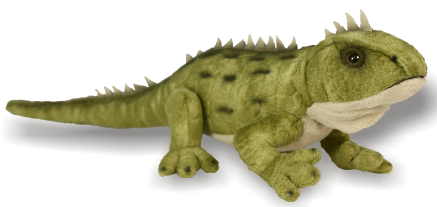 Antics Tuatara With Sound