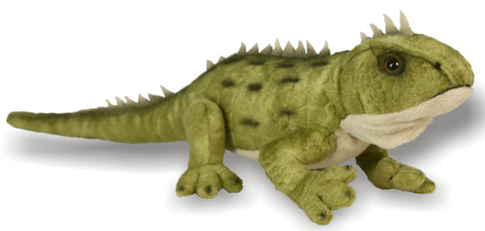Antics Tuatara With Sound