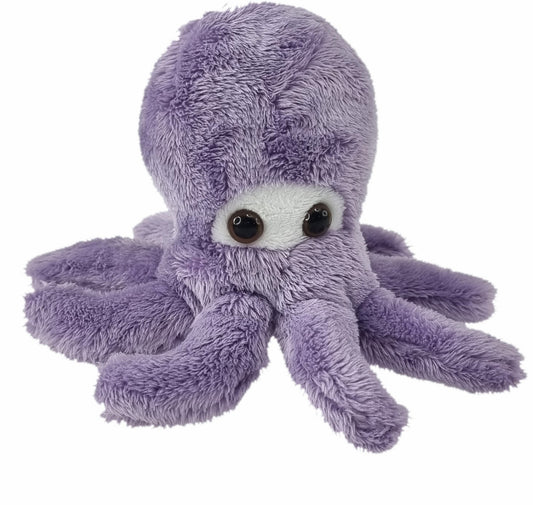 Wild Mini Octopus