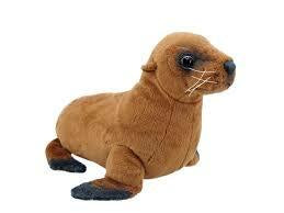 NZ Sea Lion Sound