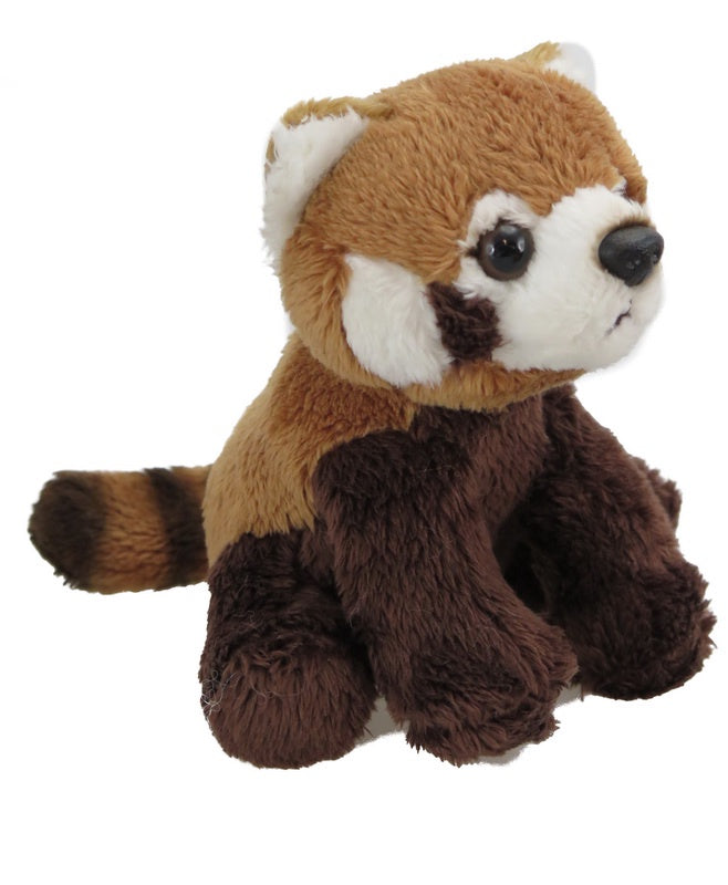 Wild Mini Red Panda β PaperTree