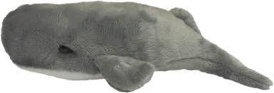 Wild Mini Sperm Whale