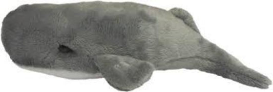 Wild Mini Sperm Whale