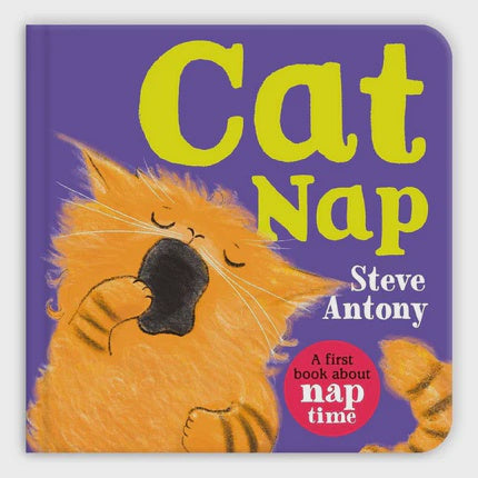 Cat Nap A First Book About Naptime By Steve Antony