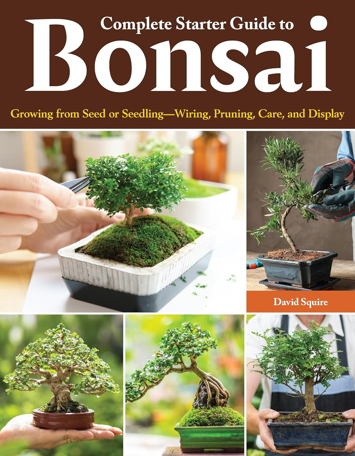 Complete Starter Guide to Bonsai