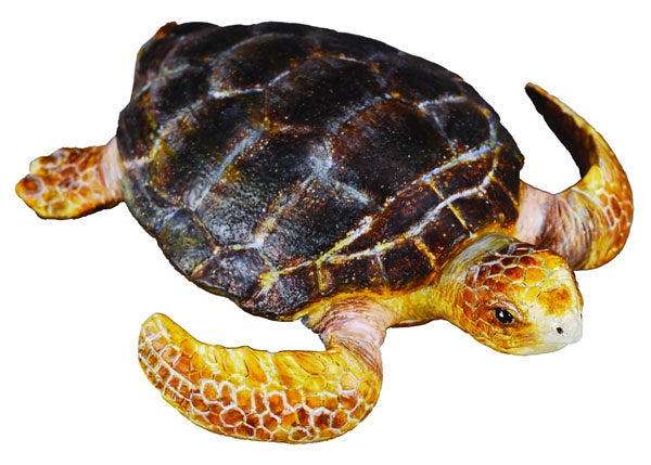 Loggerhead Turtle CollectA