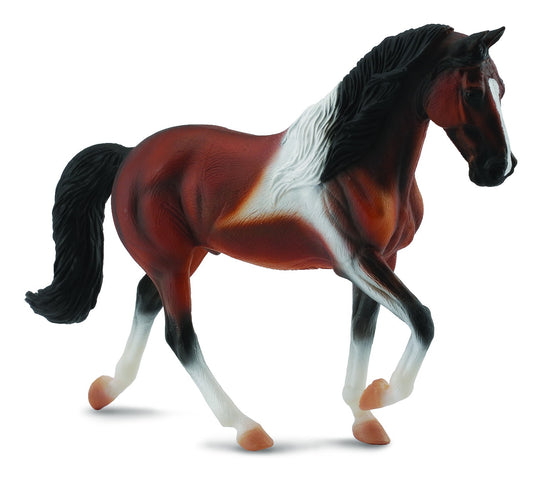 Tennessee Walking Horse Stallian Bay-XL