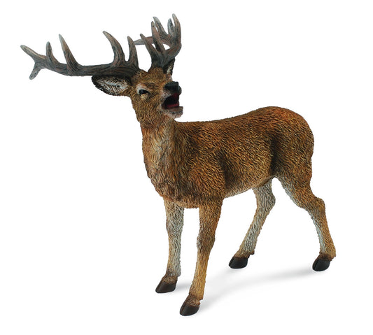 Red Deer Stag-L