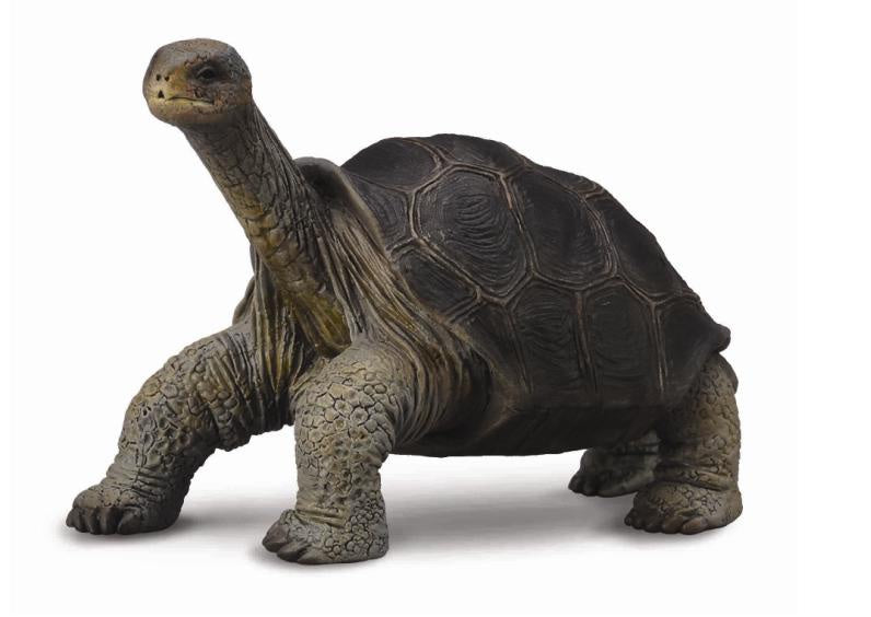 Pinta Island Tortoise George CollectA