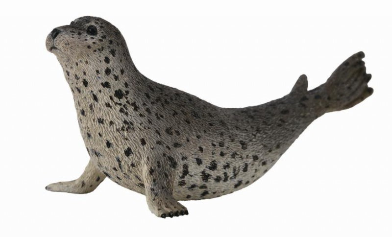 Spotted Seal CollectA