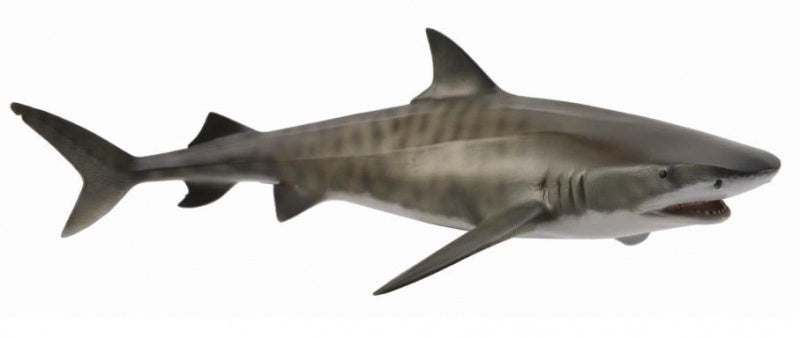 Tiger Shark CollectA