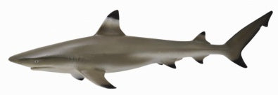 Blacktip Reef Shark CollectA