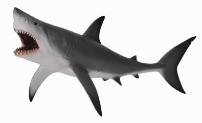 Great White Shark Figuring XL