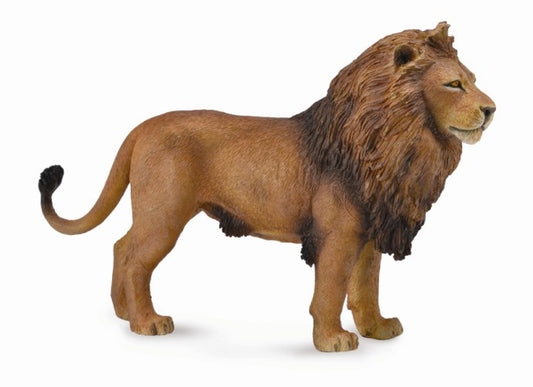 African Lion CollectA