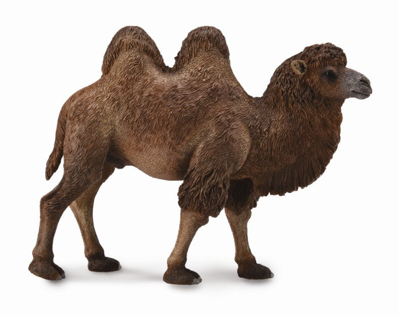 Bactrian Camel CollectA