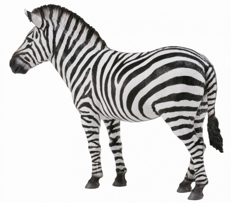 Zebra CollectA