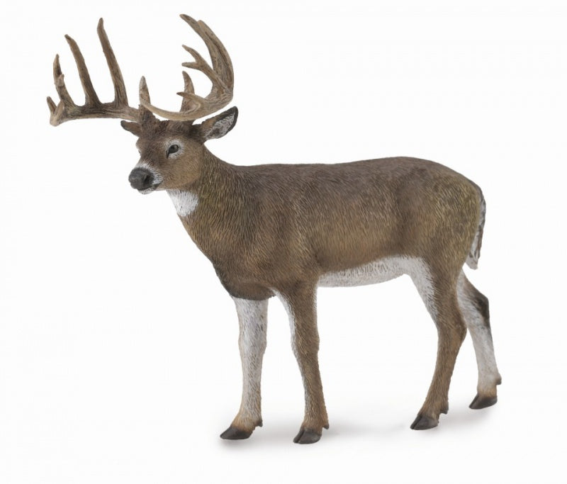 White Tailed Deer CollectA