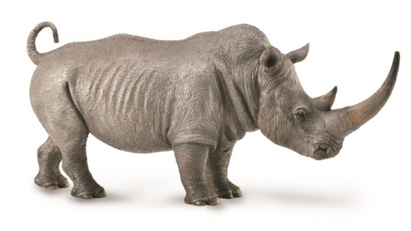 Rhinoceros CollectA