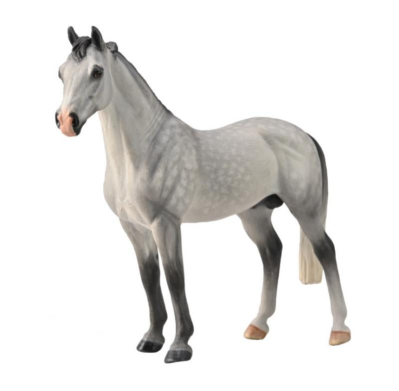 Hanoverian Stallian Dapple Grey