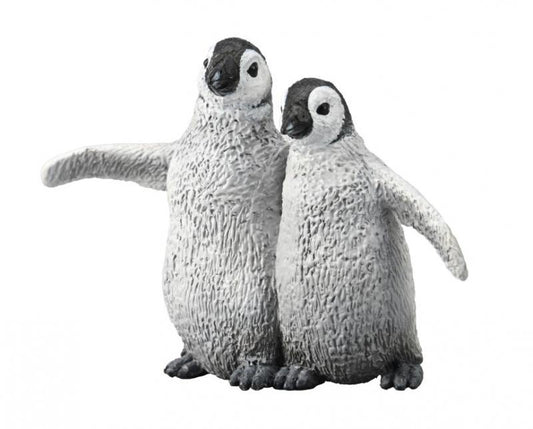 Emperor penguin chicks