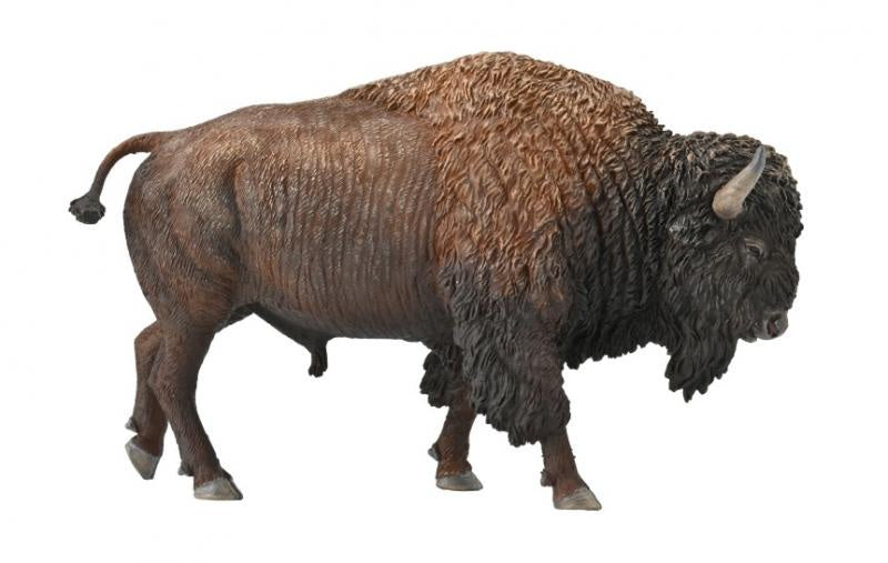 American Bison CollectA