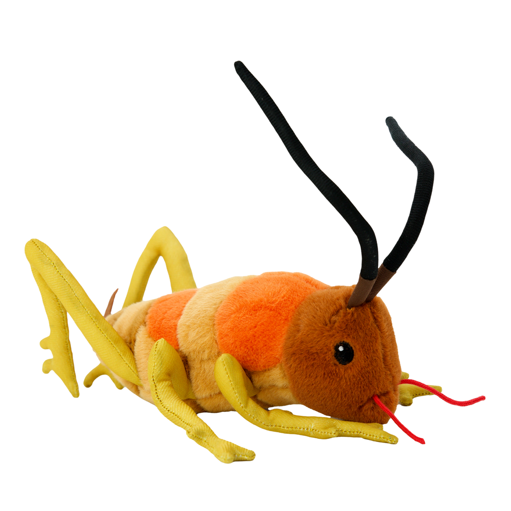 Wiremu Weta Soft Toy