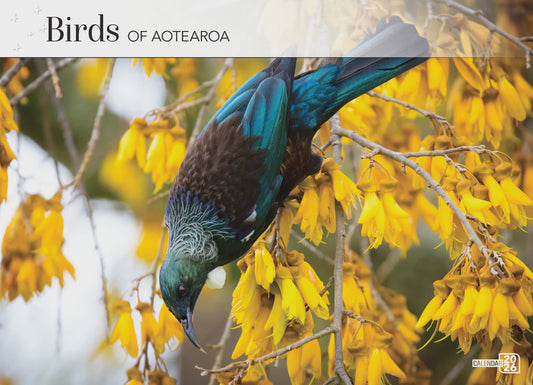 Calendar 2026 Big Print Birds of Aotearoa