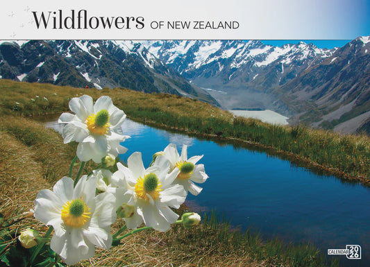 Calendar 2026 297x210mm Wildflowers of Aotearoa