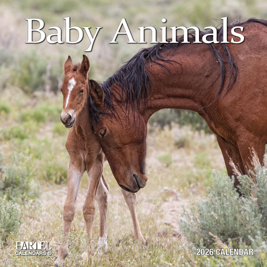 Calendar 2026 300x300mm Baby Animals
