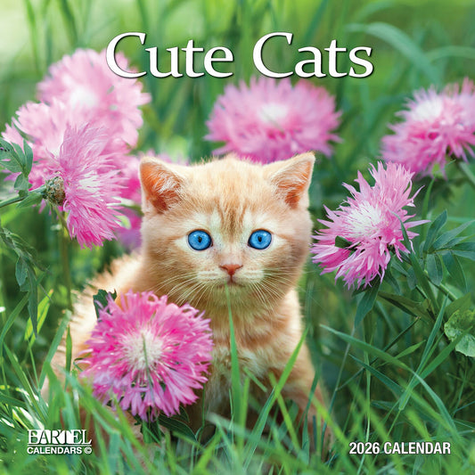 Calendar 2026 300x300mm Cute Cats