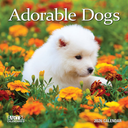 Calendar 2026 300x300mm Adorable Dogs