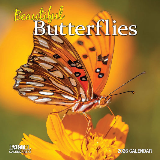 Calendar 2026 300x300mm Butterflies