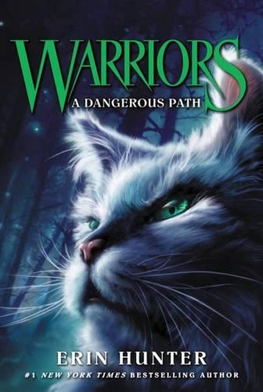 Warriors A Dangerous Path