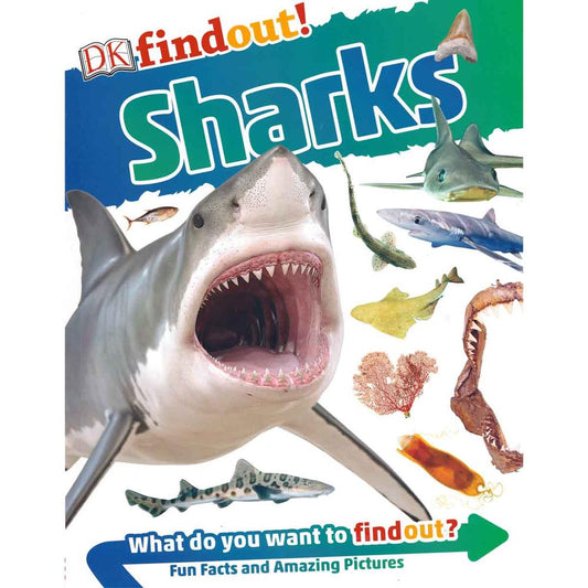 Dk Findout Sharks