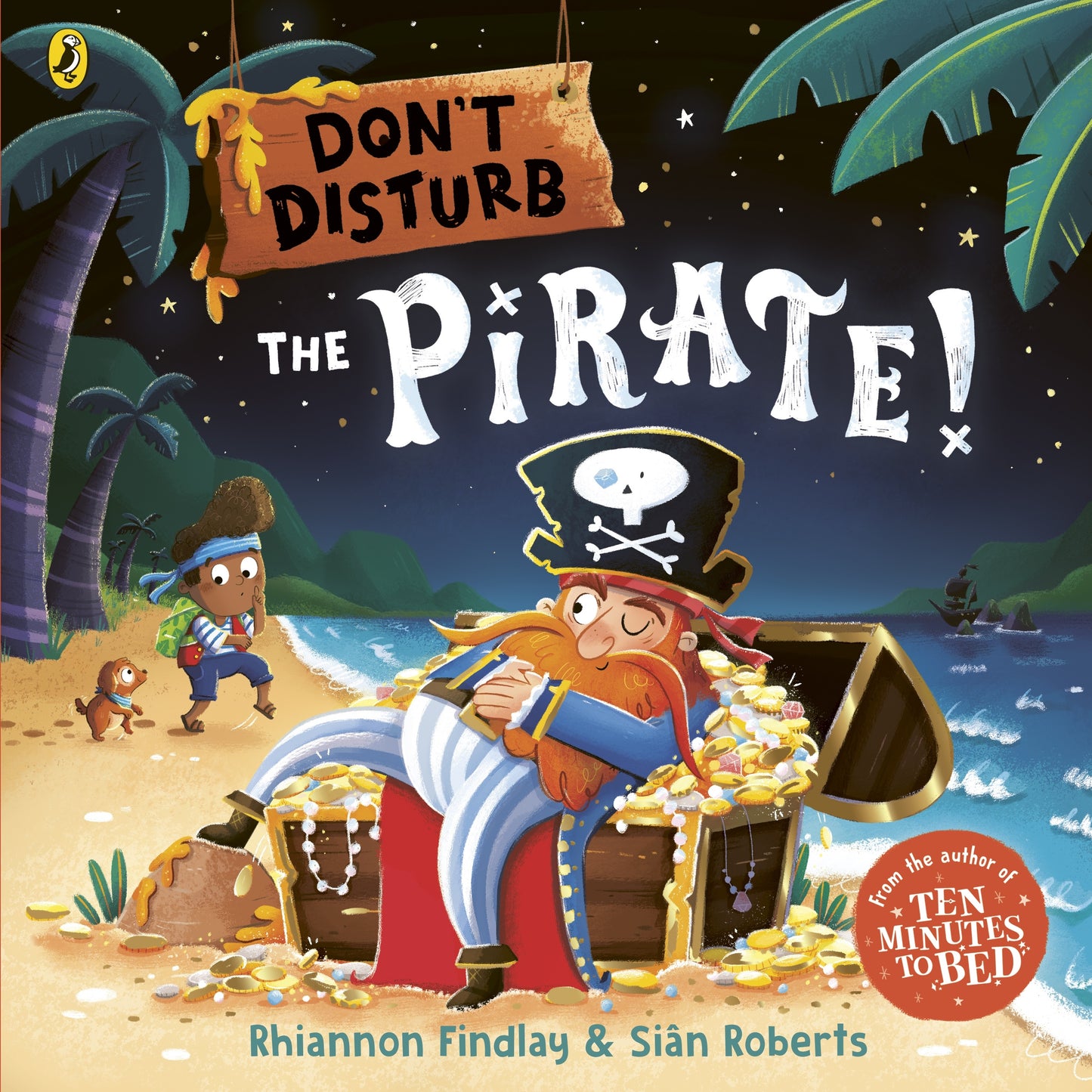 Don’t Disturb The Pirate by Rhiannon Findlay