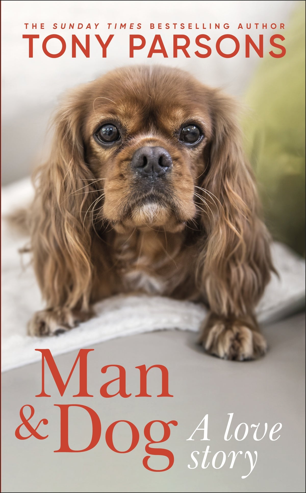 Man & Dog A Love Story  Tony Parsons