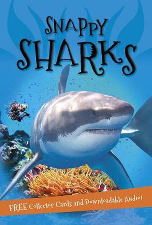 It''S All About Snappy Sharks