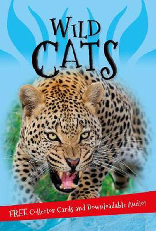 It''S All AboutWild Cats